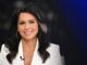 tulsi gabbard biography