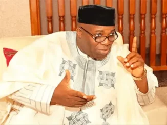 Doyin Okupe Biography